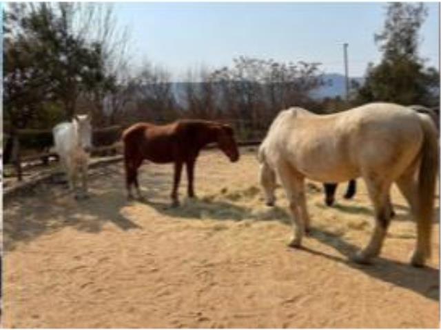 Commercial Property for Sale in Scheerpoort A H North West